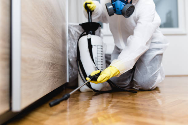 Best Cockroach Control Services  in Del Norte, CO
