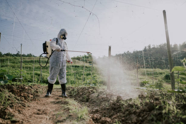 Best Pest Removal Services  in Del Norte, CO