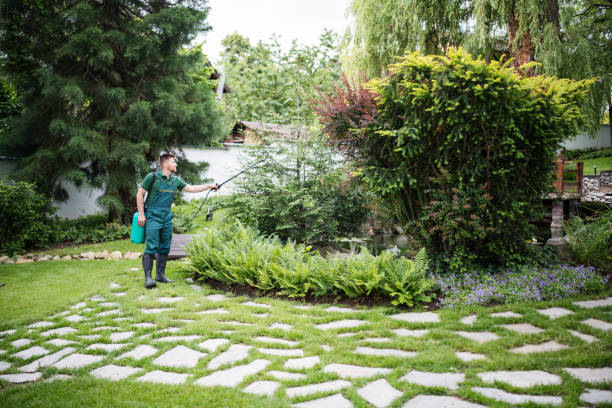 Best Pest Removal Services  in Del Norte, CO