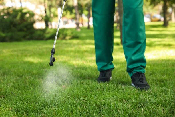 Best Flea Control Services  in Del Norte, CO