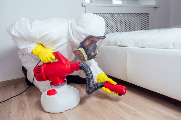 Best Emergency Pest Control  in Del Norte, CO
