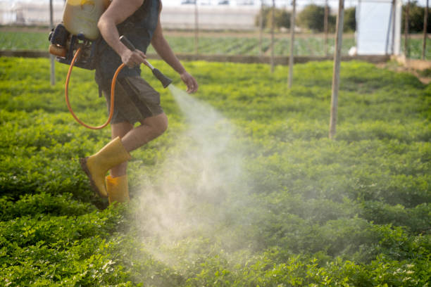 Best Best Pest Control Companies  in Del Norte, CO