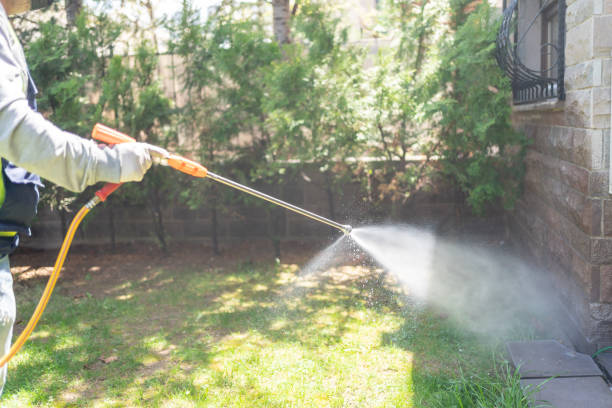 Reliable Del Norte, CO Pest Control Solutions