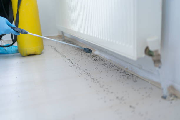 Best Pest Inspection Near Me  in Del Norte, CO