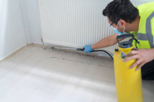 Best Pest Control Near Me in Del Norte, CO