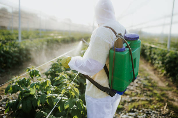 Best Bed Bug Extermination  in Del Norte, CO